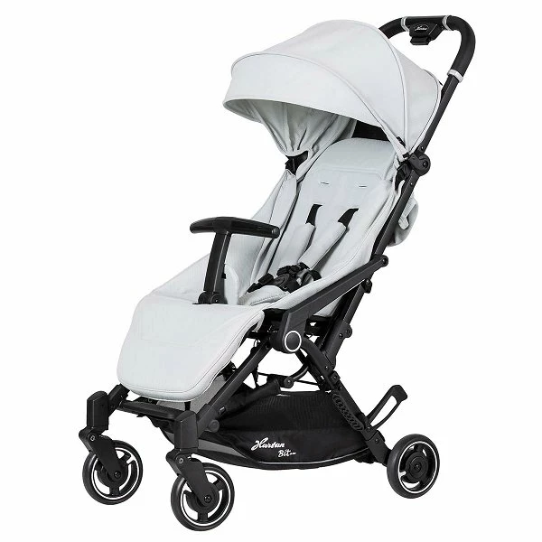 Hartan Bit Buggy Ice 2023 1 Hartan Bit Buggy Ice 2023