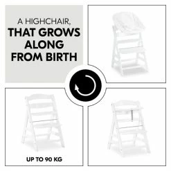 Hauck Alpha+B Hochstuhl -Kinderwagen 4007923661161.pt04.alpha white