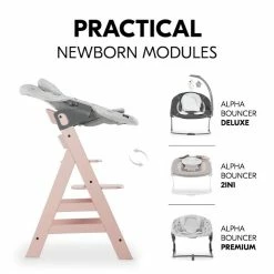 Hauck Alpha+B Hochstuhl -Kinderwagen 4007923661314.pt08.alpha rose