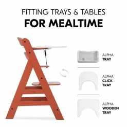 Hauck Alpha+ Hochstuhl -Kinderwagen 4007923661383.pt09.alpha cork