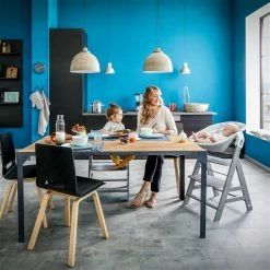 Hauck Alpha Bouncer 2in1 Babywippe -Kinderwagen 4007923661970.pt17.alpha bouncer 2 in 1 stretch grey