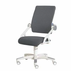 Paidi Yvo Schreibtischstuhl Grau Ergonomie & Design - Zum Aktionspreis