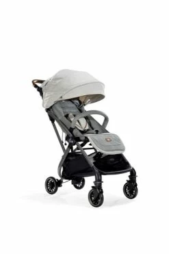 Joie Signature Tourist Buggy Oyster